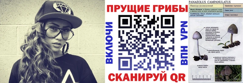купить Ноябрьск Псилоцибиновые грибы Magic Shrooms